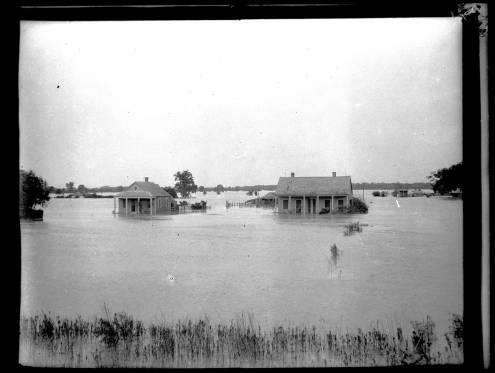 Flooding in Violet, 1922. Source: Louisiana Digital Library