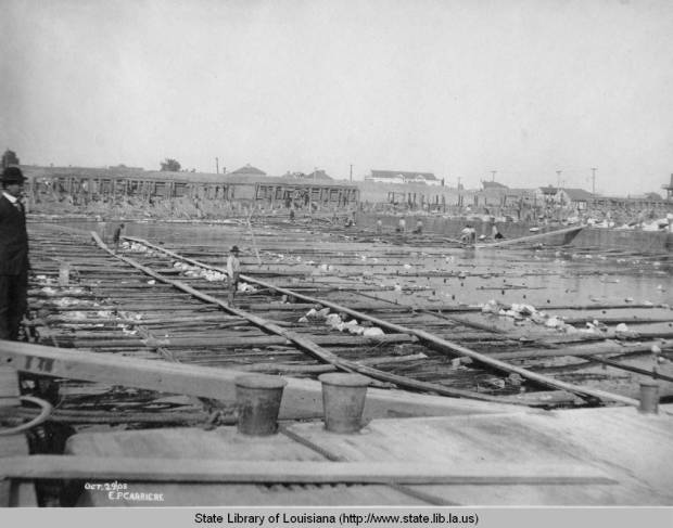 Improving levees in Poydras, 1908. Source: Louisiana Digital Library
