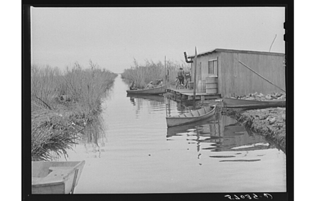 Delacroix Isle, 1941. Source: Library of Congress